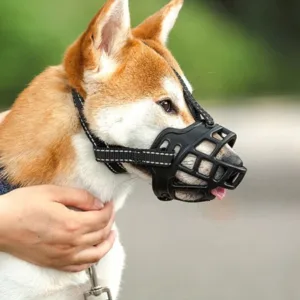 Fascinante Bozal Para Perros Transpirable